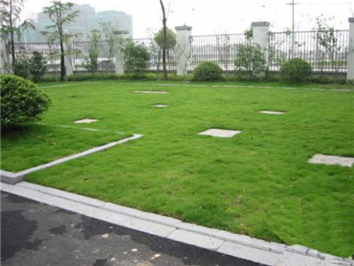 不锈钢井盖